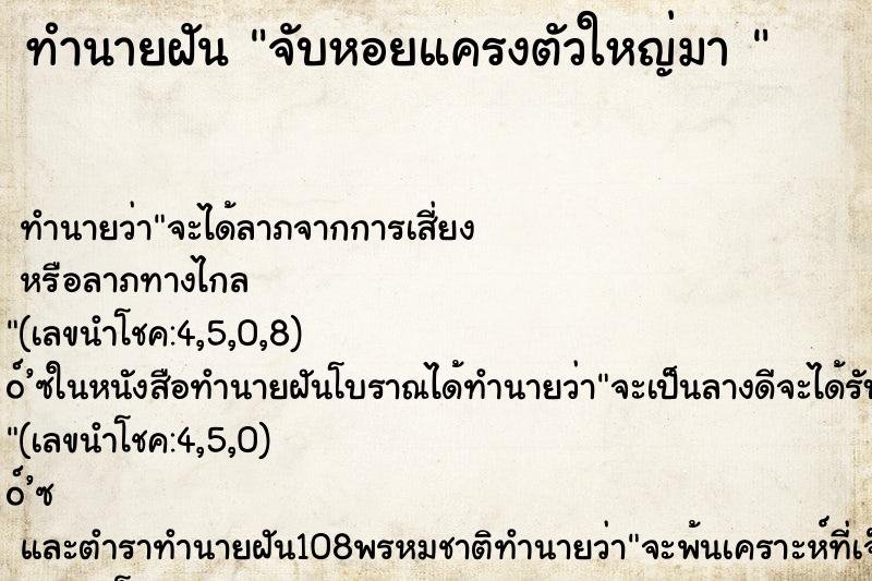 ทำนายฝันทำนายฝันจับหอยแครงตัวใหญ่มา